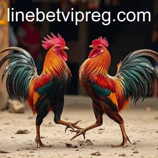 Cockfighting: A Historical and Cultural Perspective with Linebet APK Login